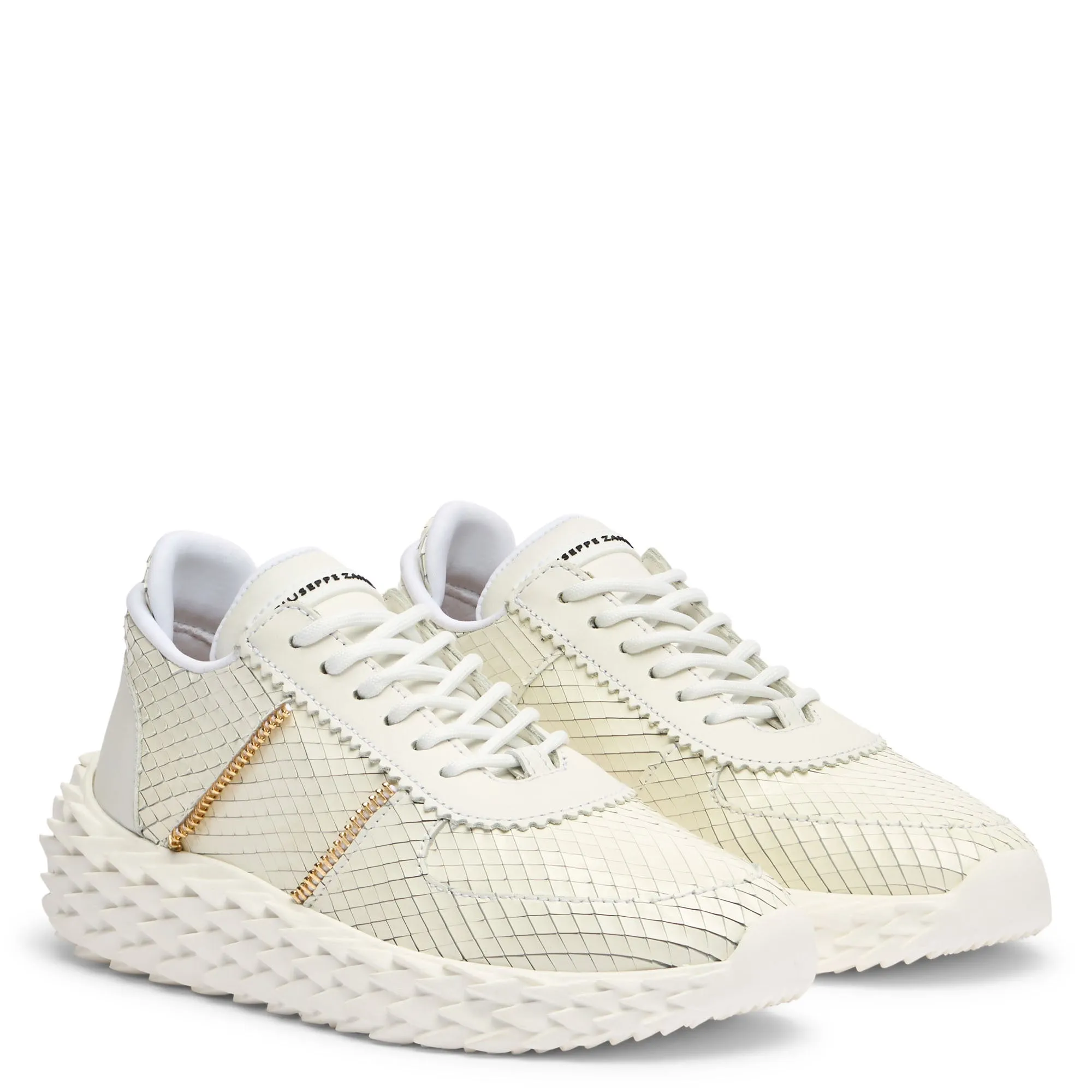 Giuseppe Zanotti Urchin