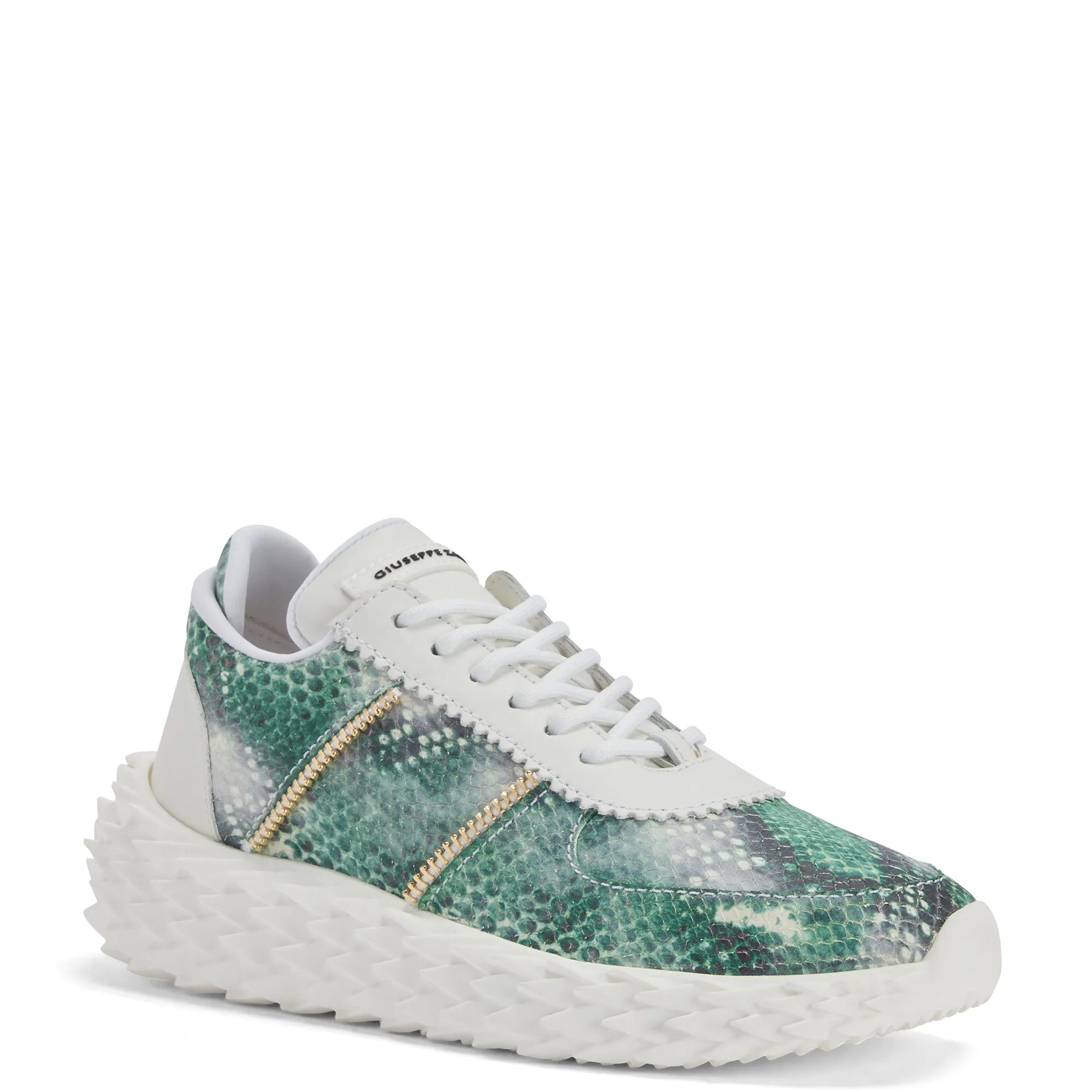 Giuseppe Zanotti Urchin