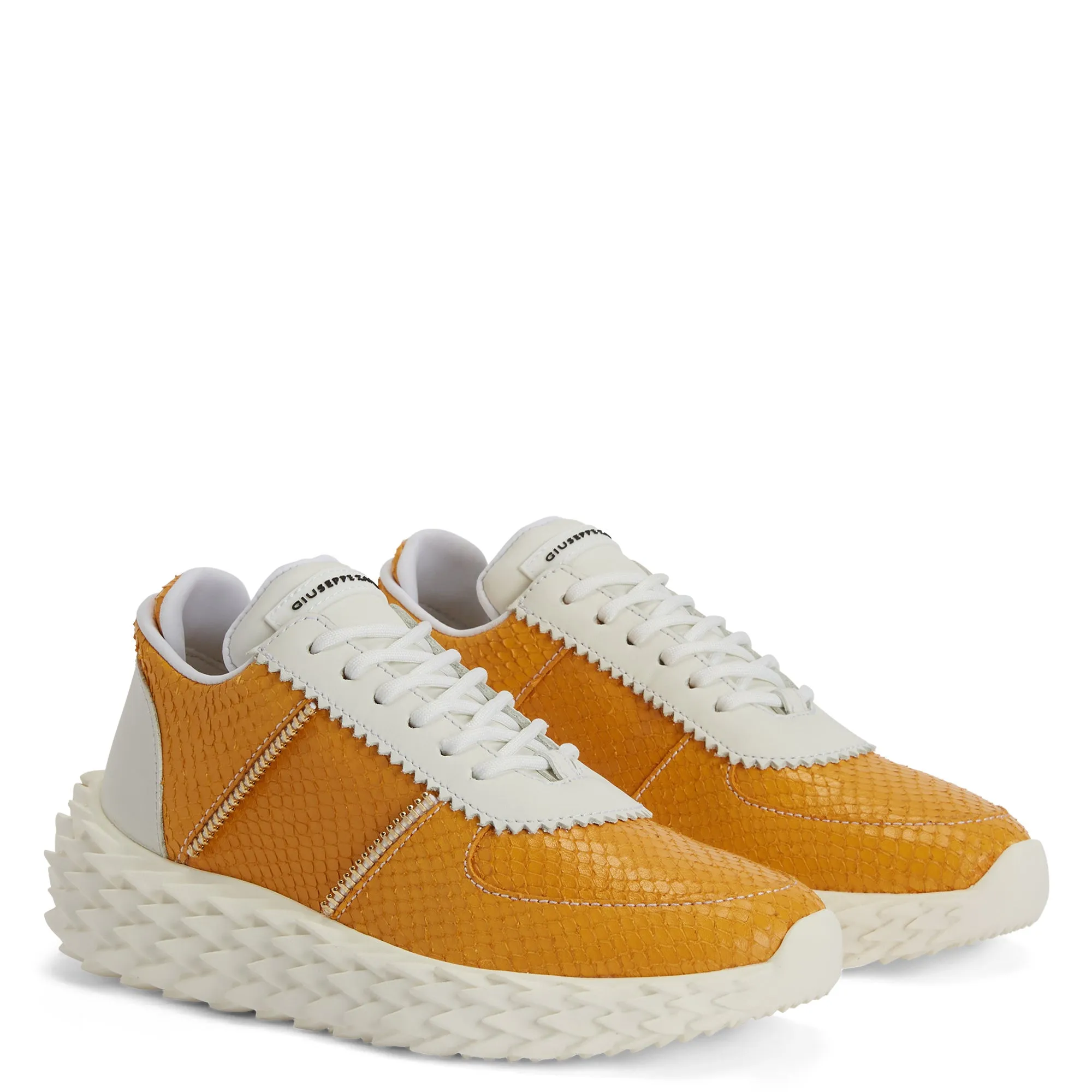 Giuseppe Zanotti Urchin