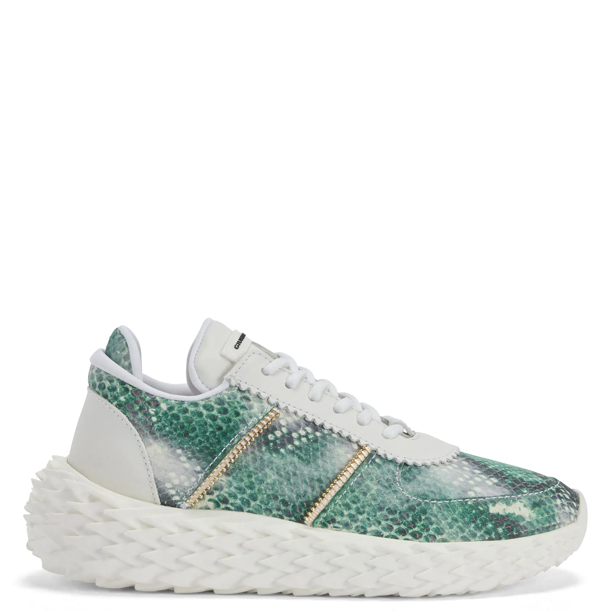 Giuseppe Zanotti Urchin