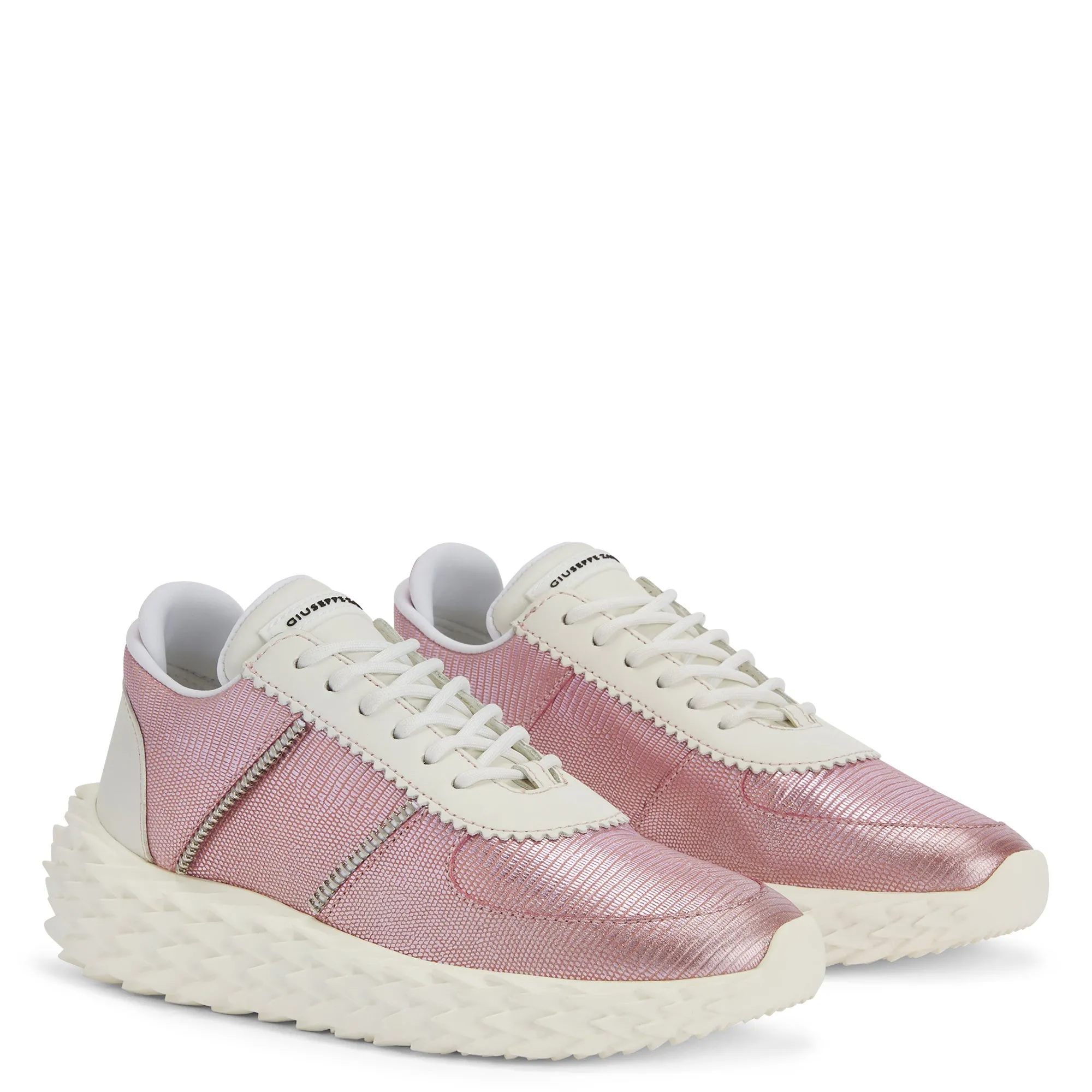 Giuseppe Zanotti Urchin