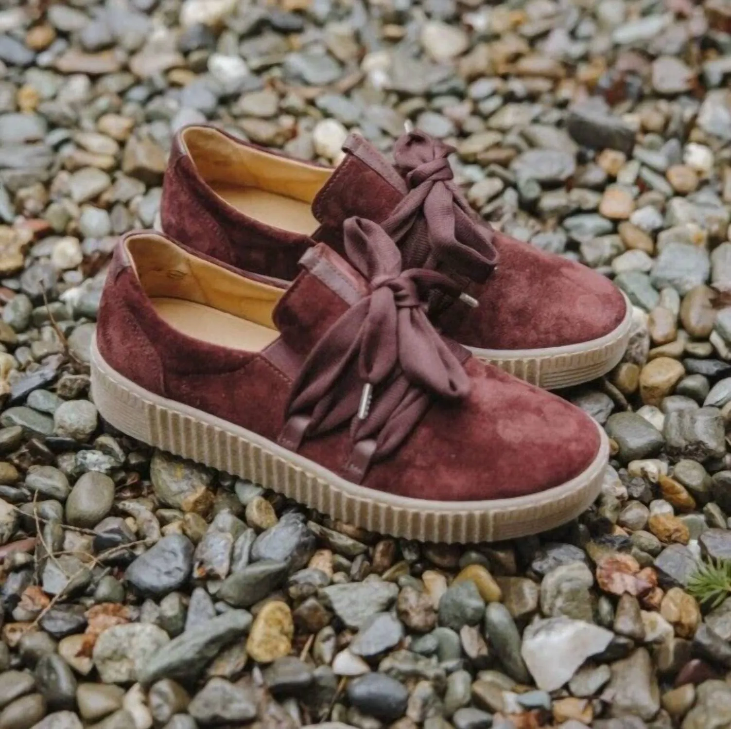 Women's Ashley Bow Sneaker In Merlot