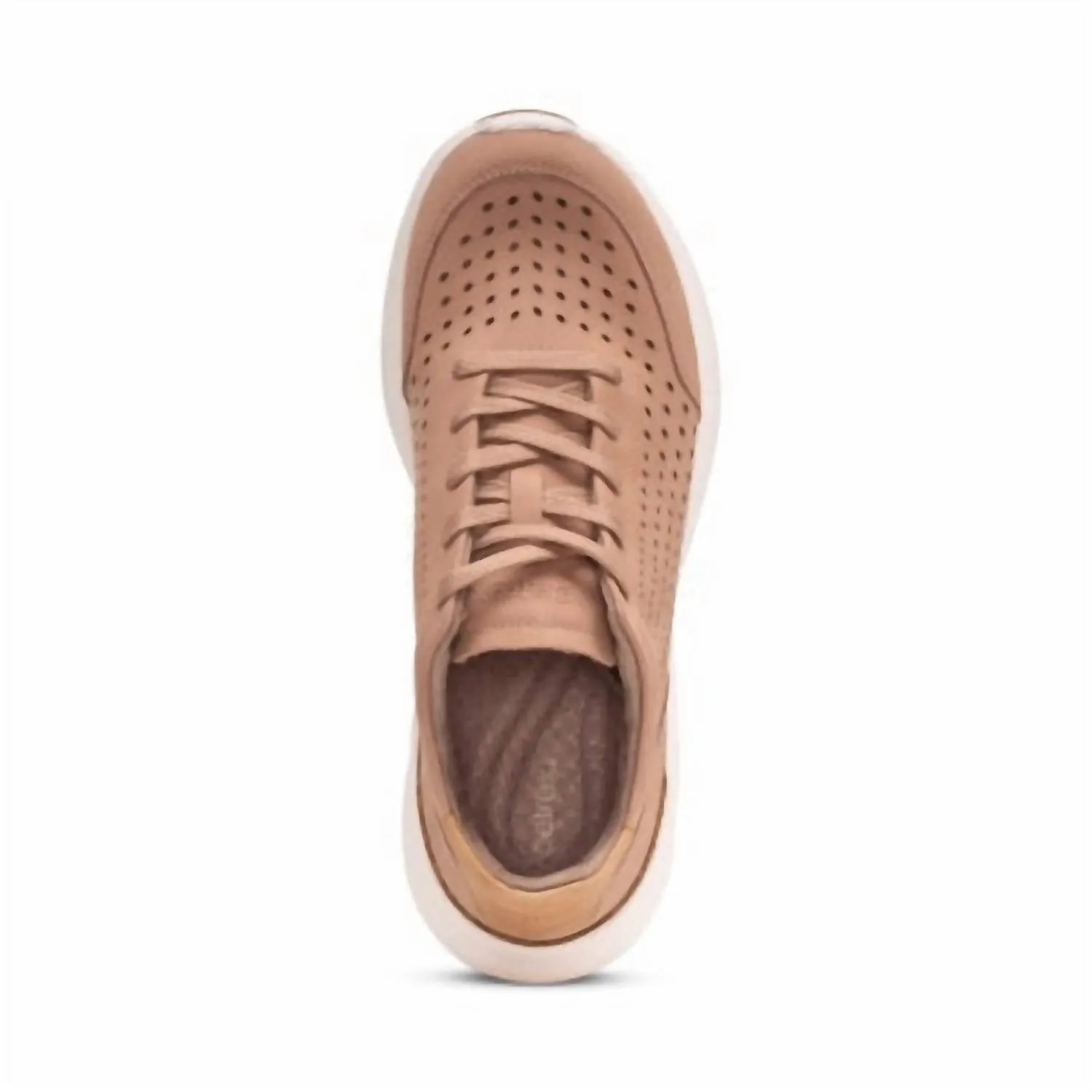 Women's Laura Lace Up Sneaker In Almond